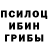 Бошки Шишки VHQ Vera Shabanova