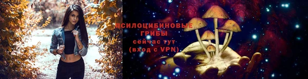 COCAINE Бородино