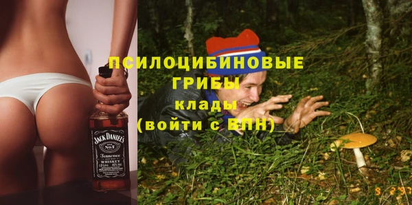 ECSTASY Снежногорск