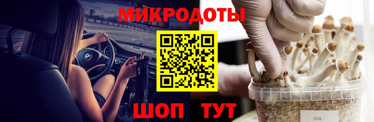 Северодвинск  Галлюциногенные грибы прущие грибы  Вход с VPN 
